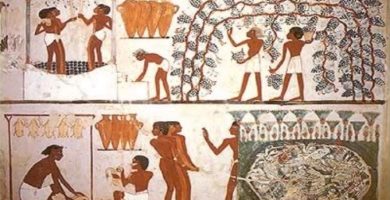 Grabado de la vendimia en Egipto Grabado de la vendimia en Egipto