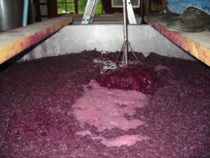 Fermentacion malolactica del vino