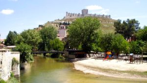 Símbolo en La Region de la Ribera del Duero